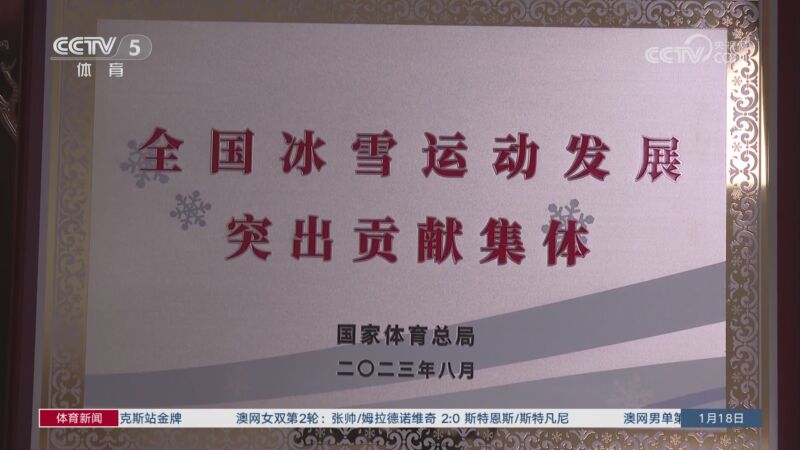 潜在的买家